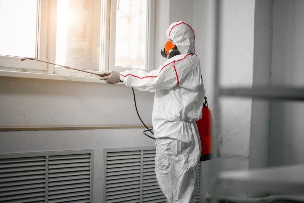 Professional mold remediation services in Hemlock, MI